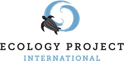 ecology_project_international